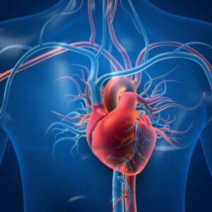 CardioVascular