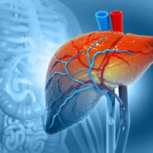 Liver Transplant